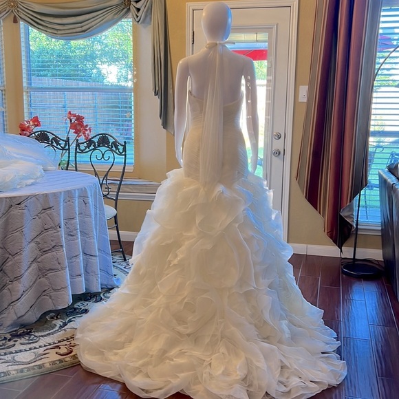 Vera Wang wedding gown from David Bridal. Brand new with tag - Picture 8 of 14
